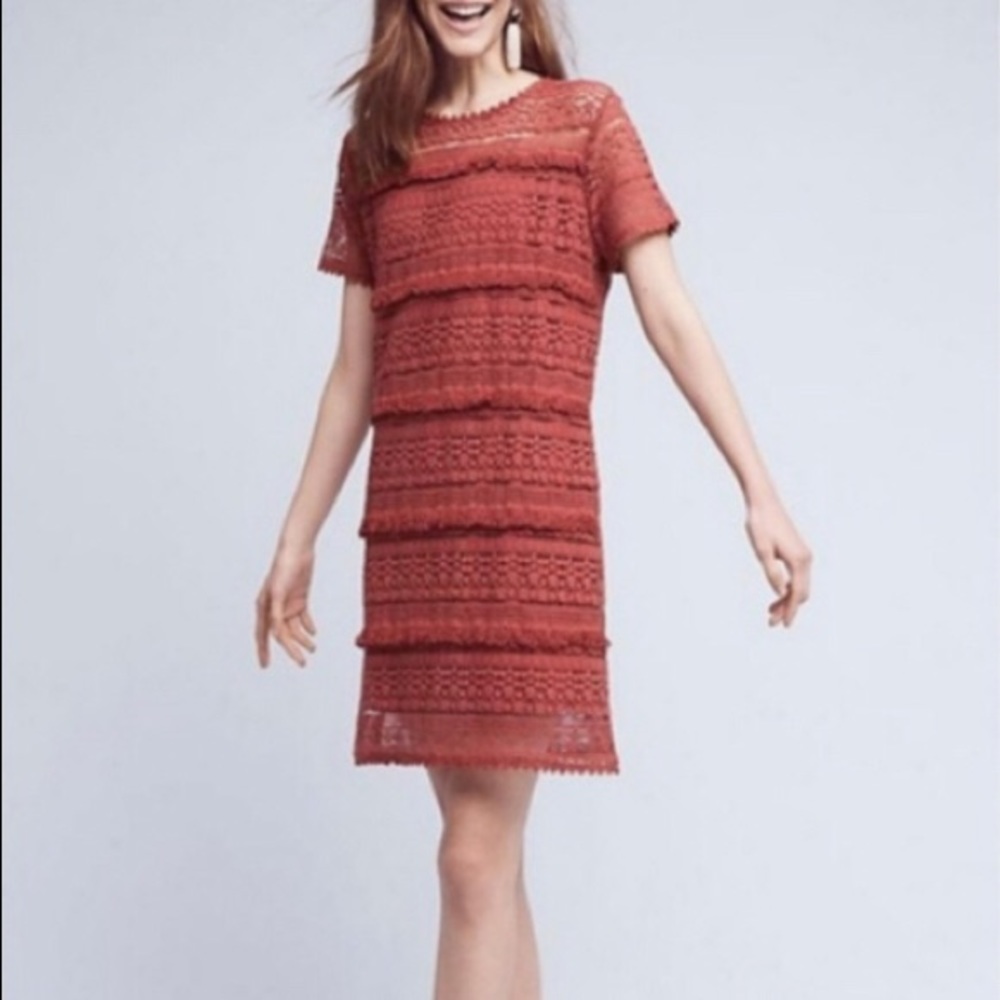 Anthropologie embroidered dress